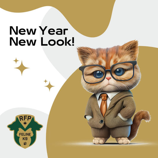 New Year, New Look! - Website Launch & Updates