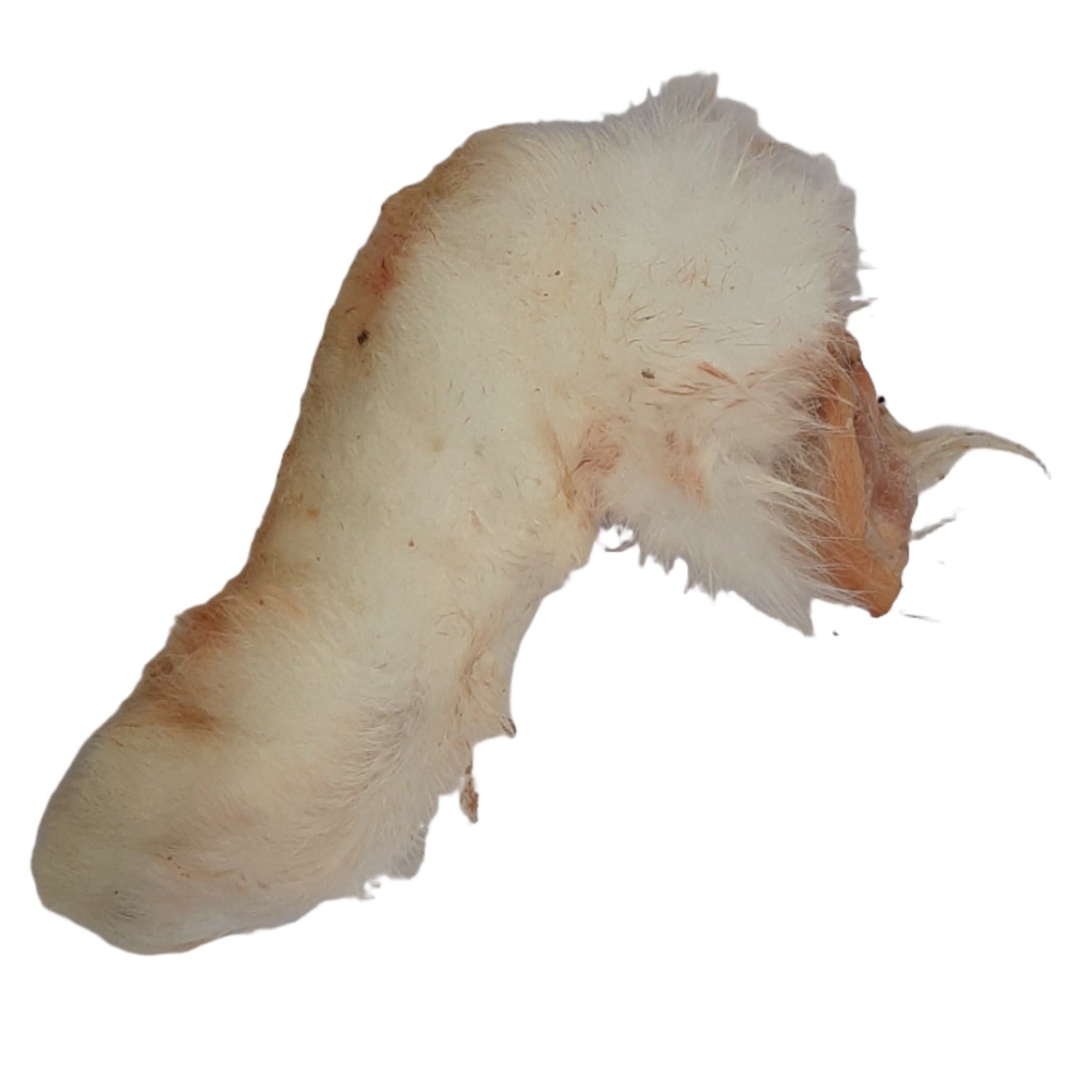 Rabbit Feet Raw (2lb)
