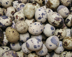 Quail Eggs 12pk