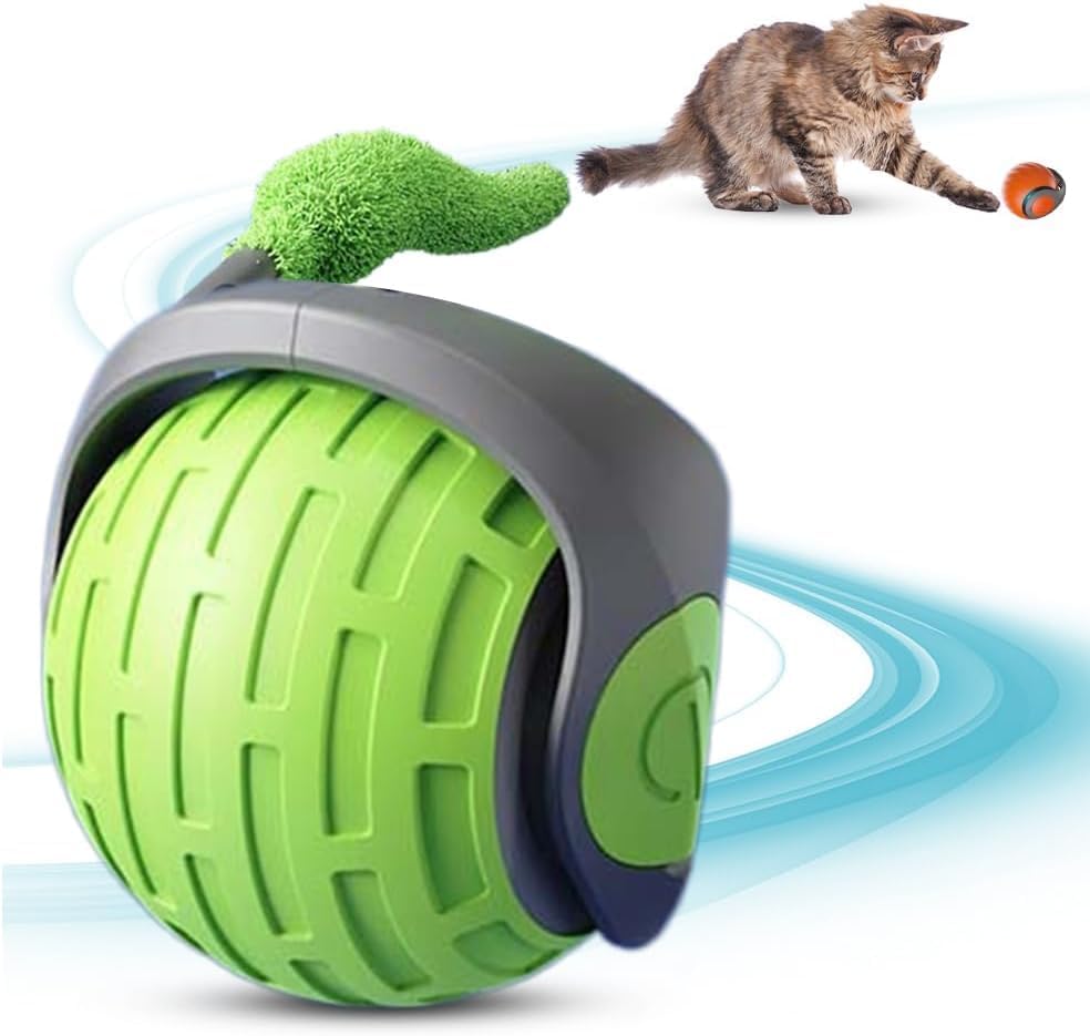 Raw For Pets
