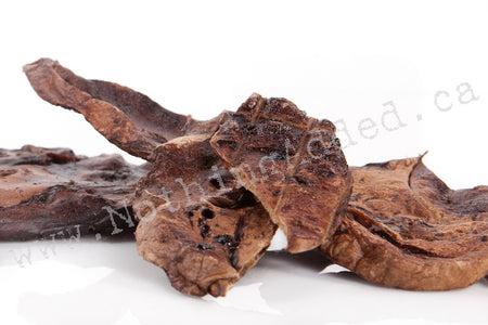 Lamb Lung image 1