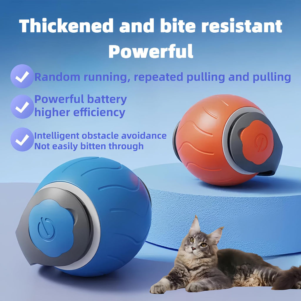 Raw For Pets