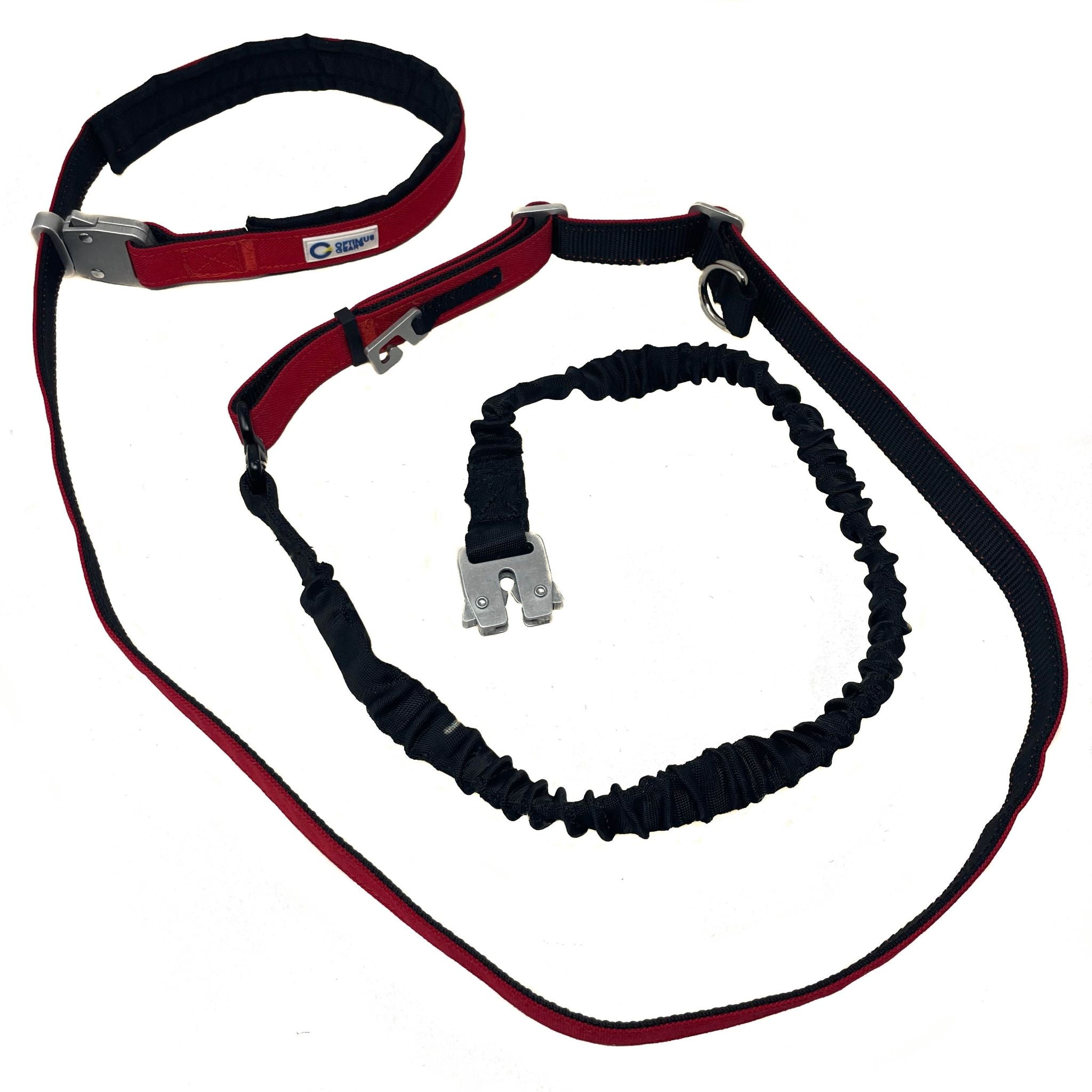 OG Active Leash