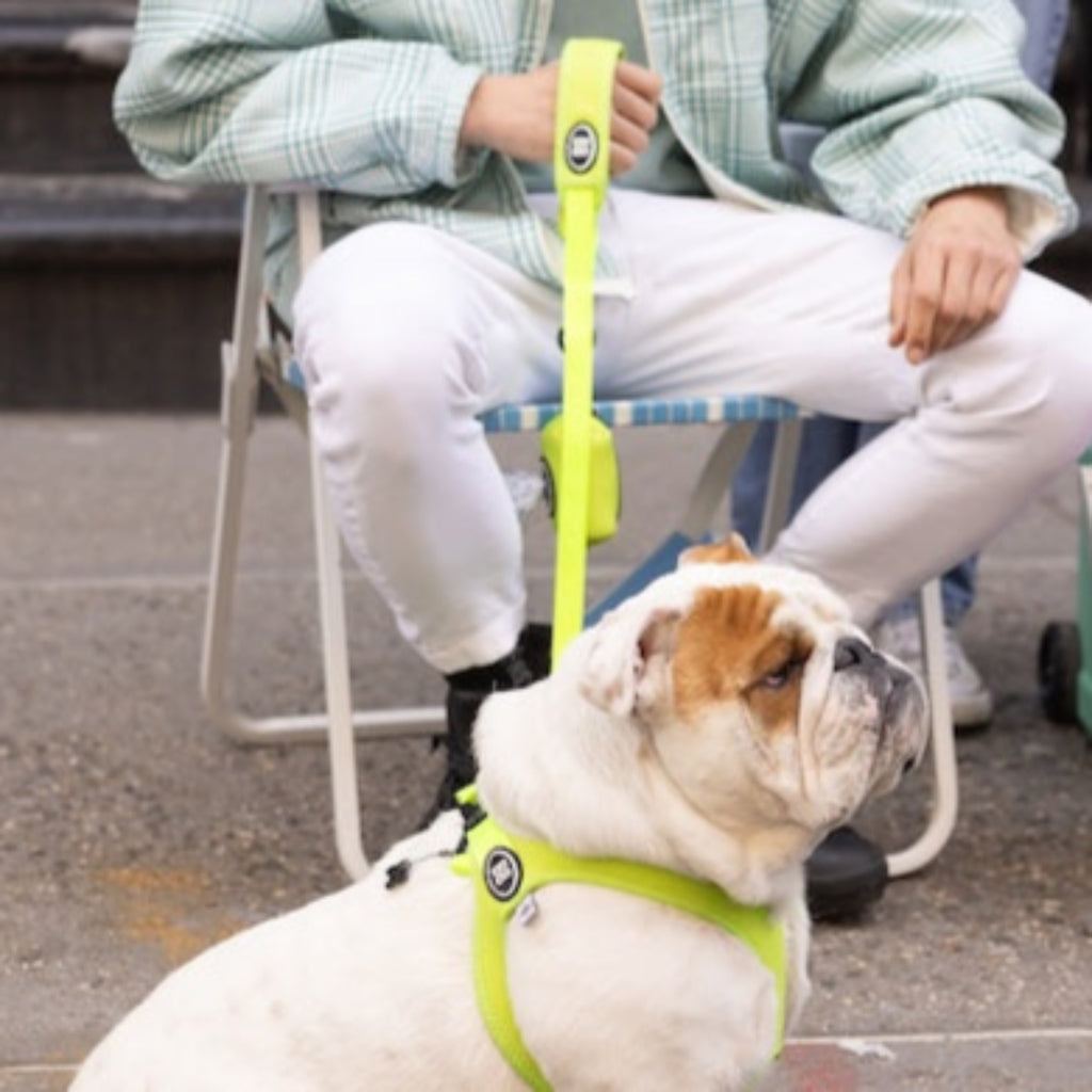Raw For Pets