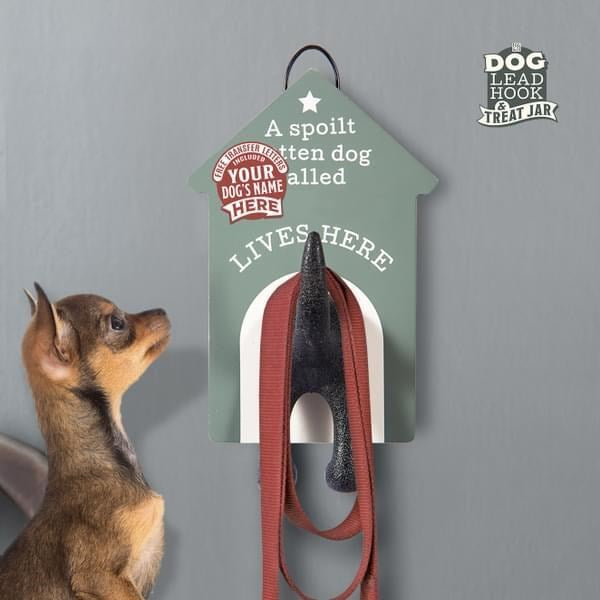 Raw For Pets