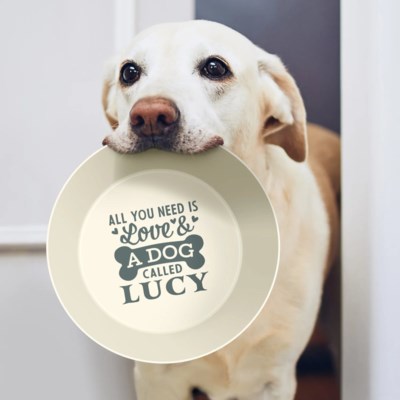 Raw For Pets