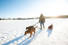 Defender Harness Towing Attachment