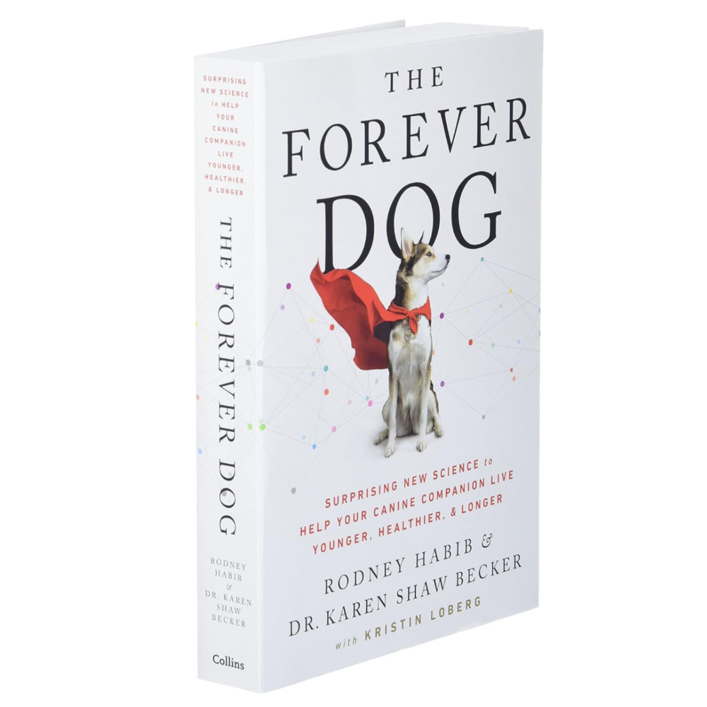 The Forever Dog