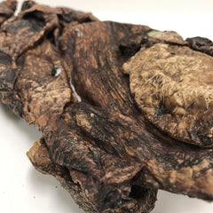 Dehydrated Beef Lung