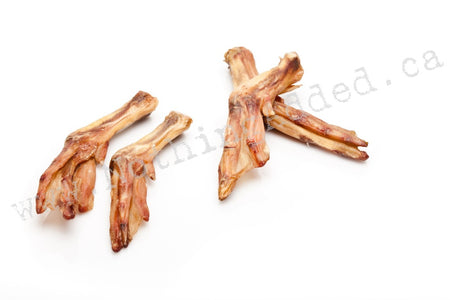 Duck Feet image 1