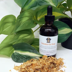 Calendula Ear Drops (4oz)