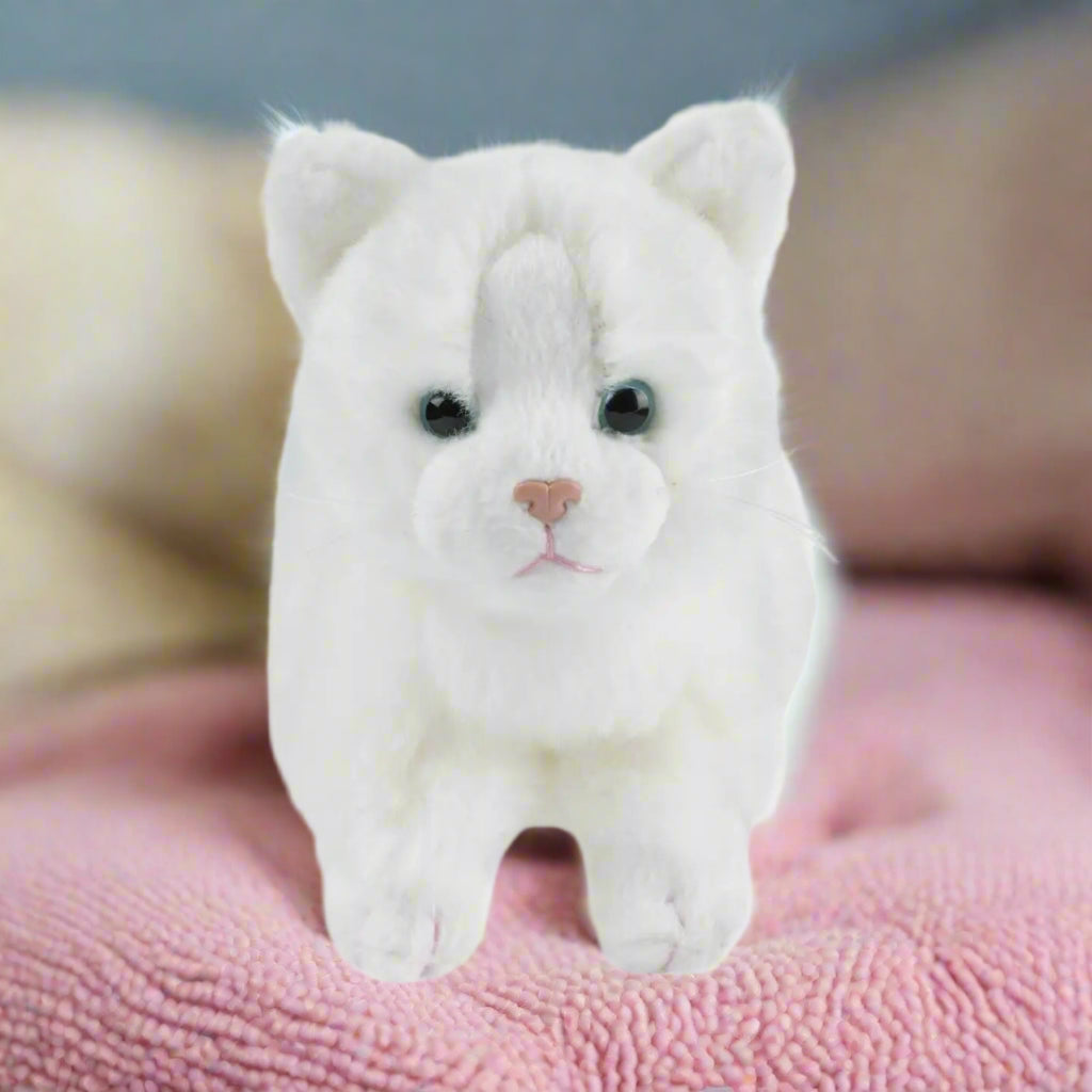 Raw For Pets