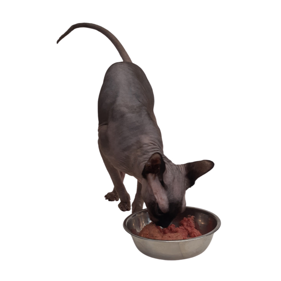 Chicken Turkey Rabbit Blend (For Cats) - The Poultry & the Hare