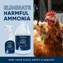 Ecostrong Chicken Coop Odor Eliminator Not just for Chicken Coups any hard to eliminate odor