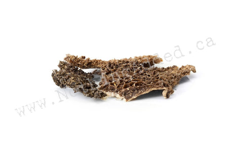Green Beef Tripe image 0