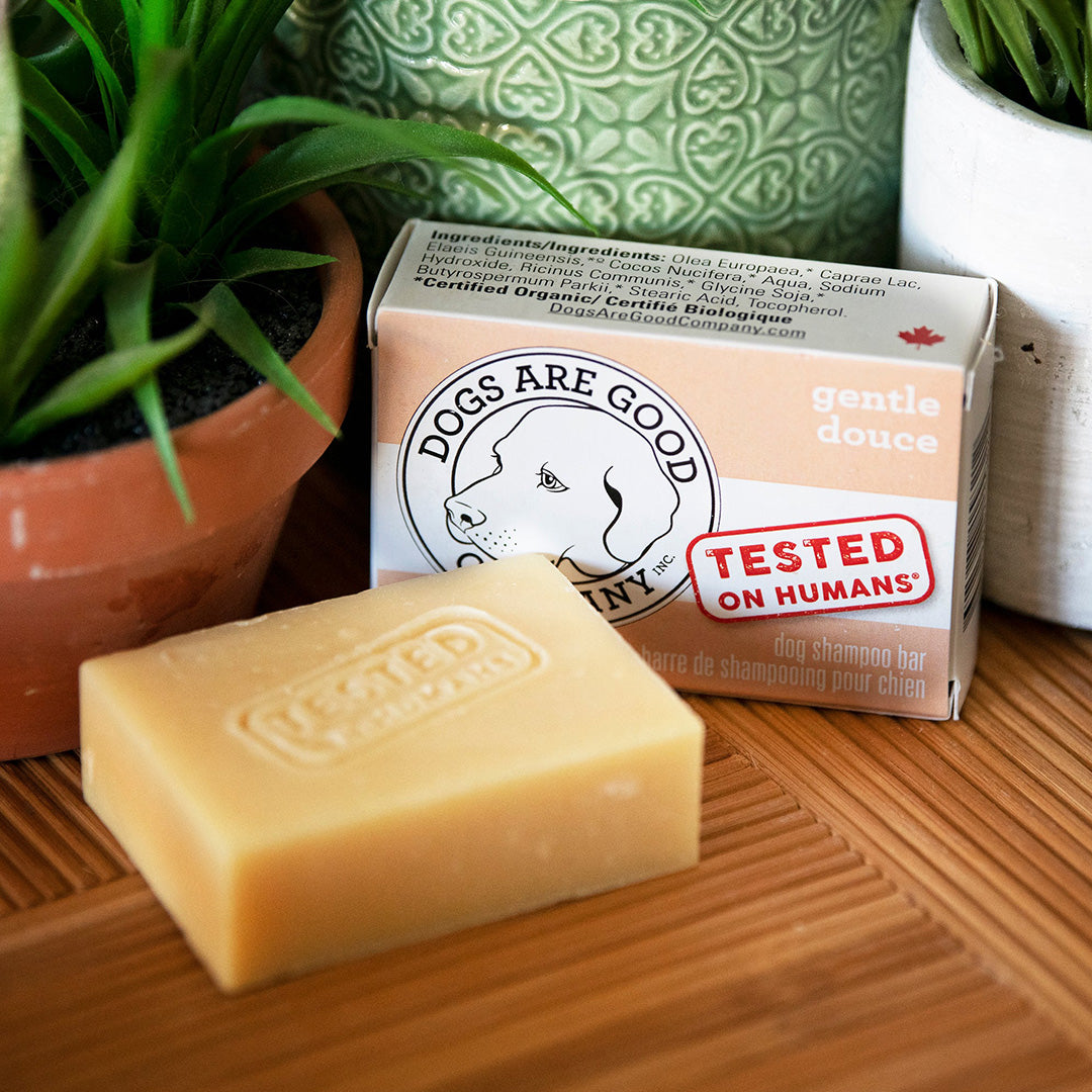 Dogs Are Good Company - Dog Shampoo Bar (92g)