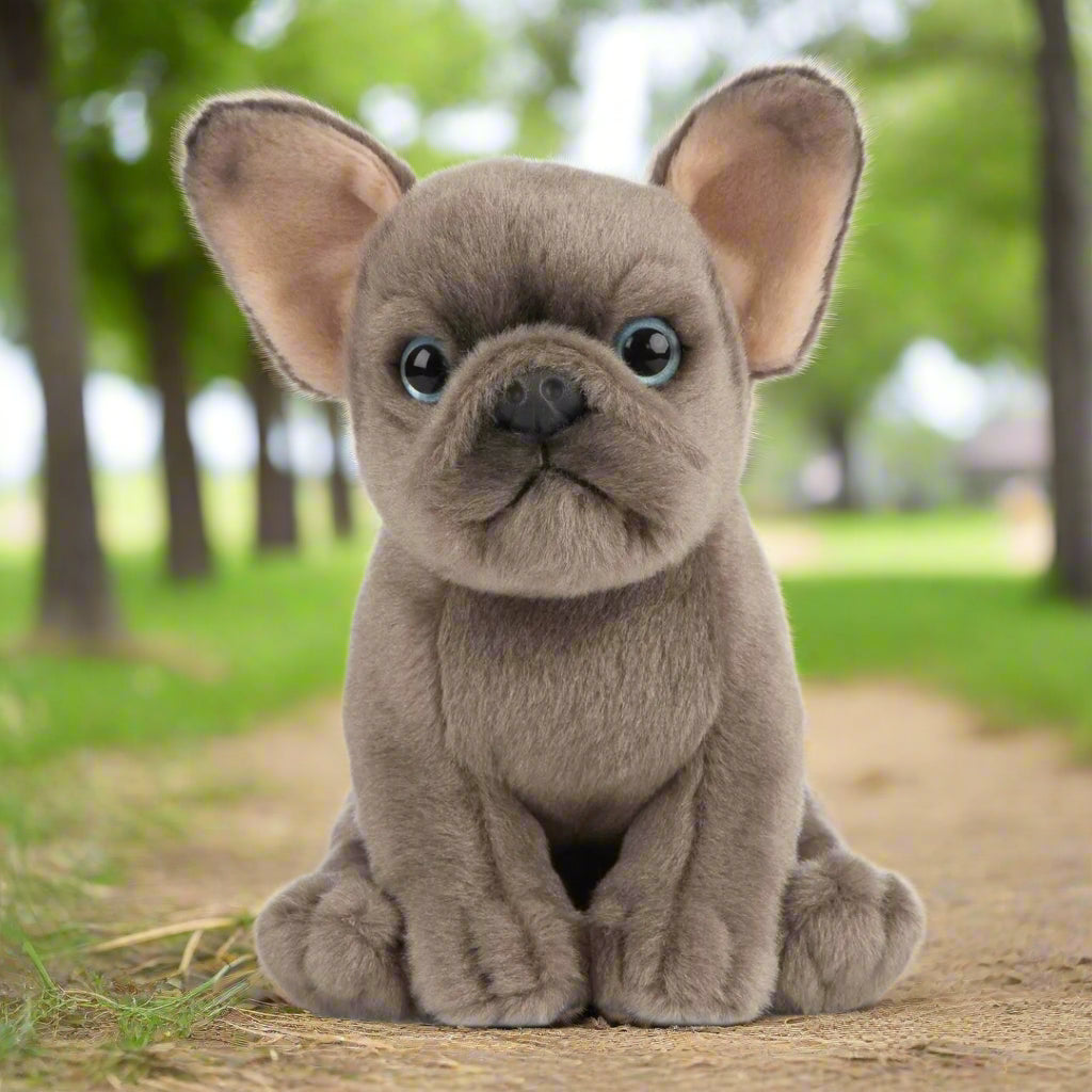 Raw For Pets