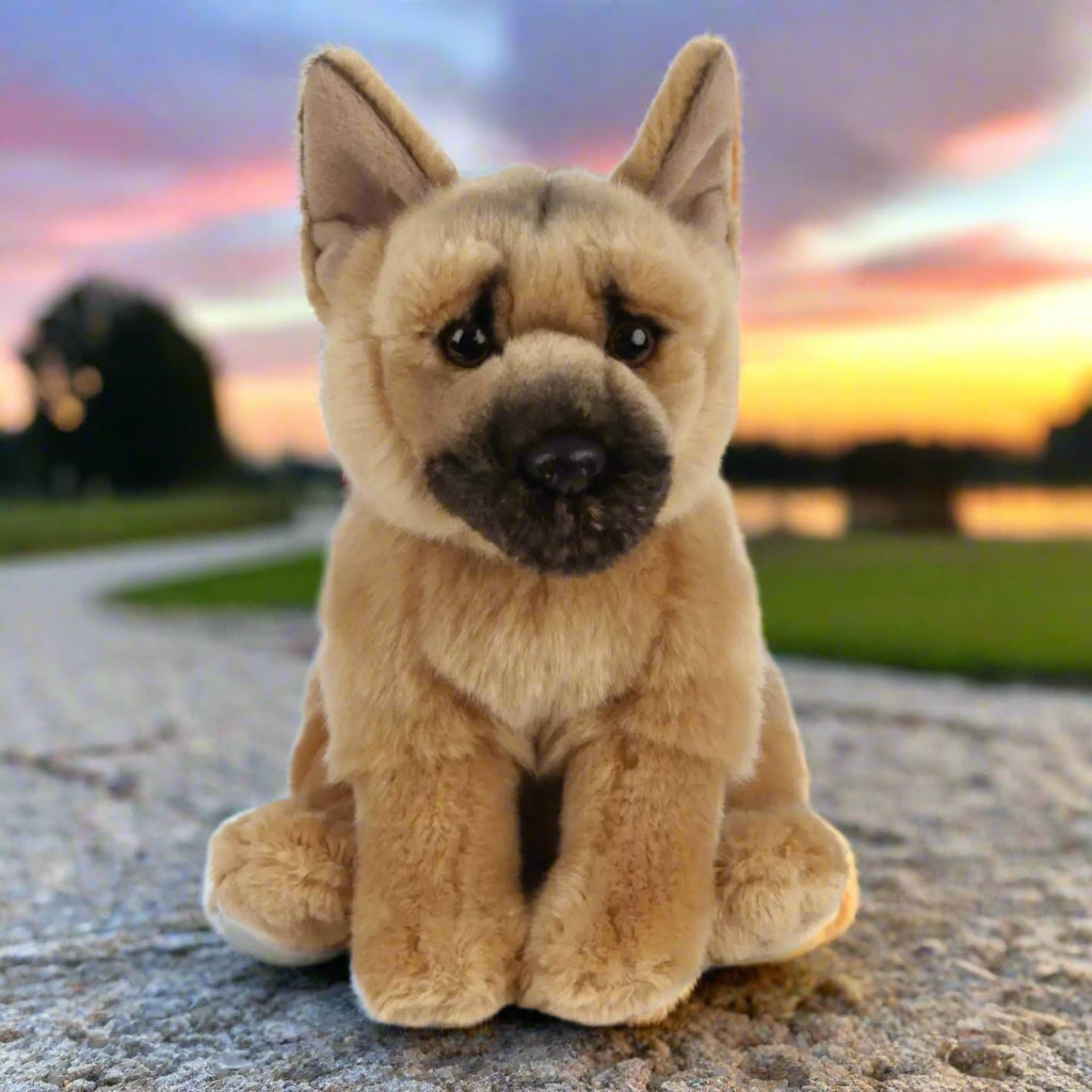 Raw For Pets