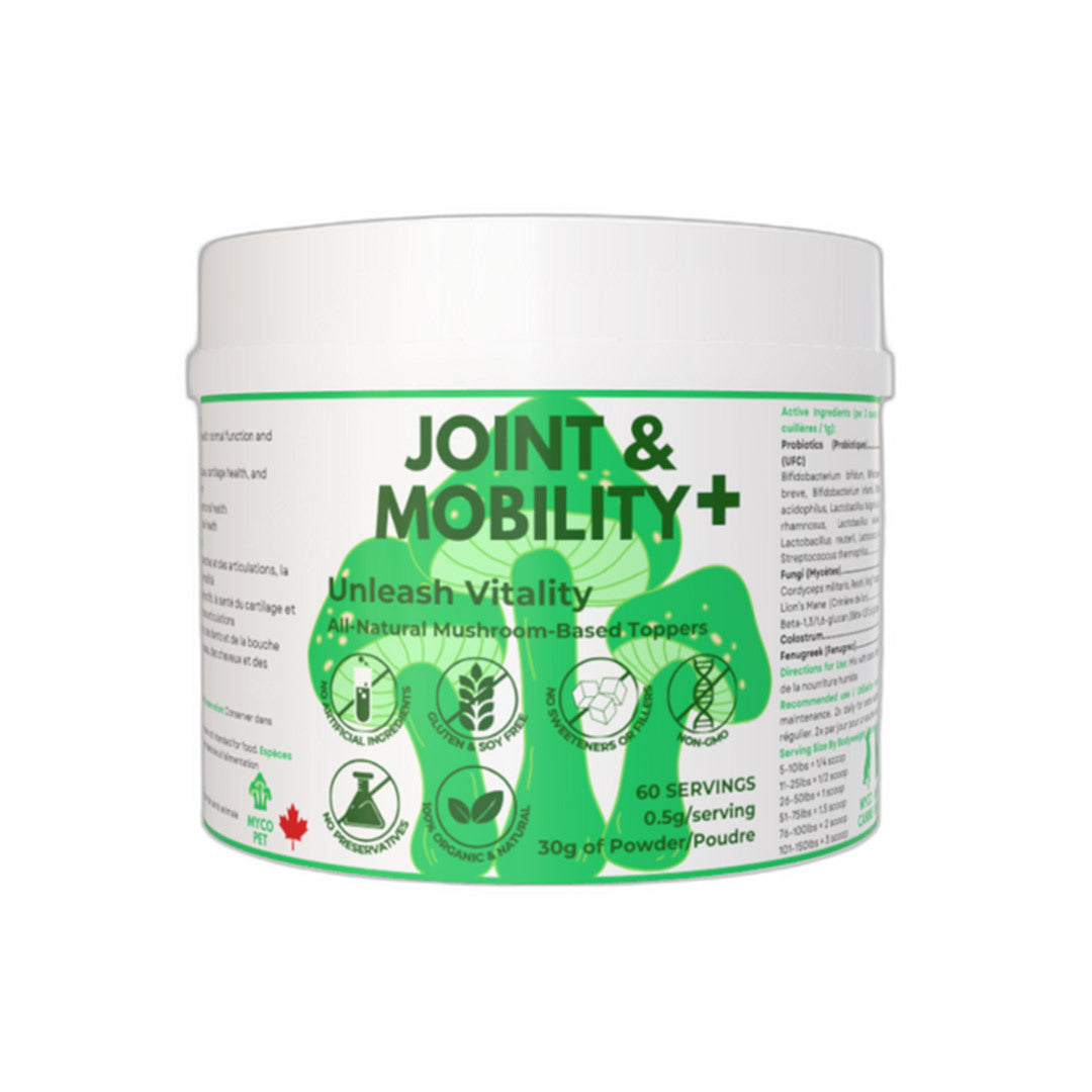 Joint & Mobililty+ (Recovery)