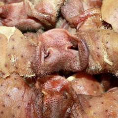 Dehydrated Pork Snouts