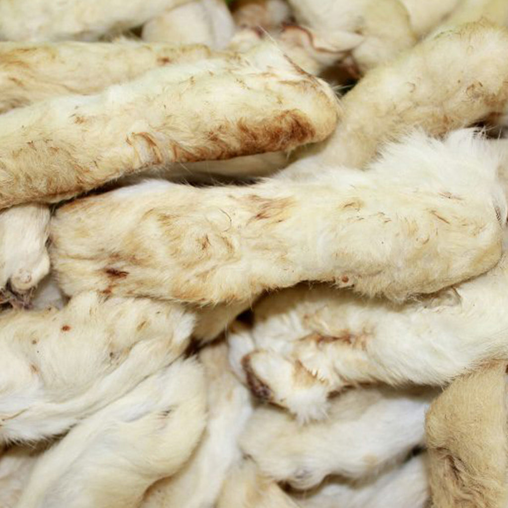 Raw Rabbbit Foot Dehydrated Rabbit Feet - Thump Sticks