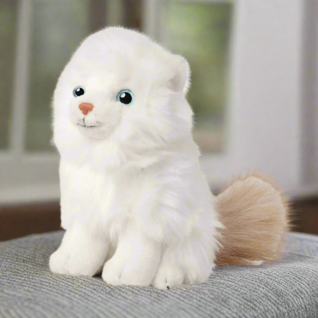Raw For Pets