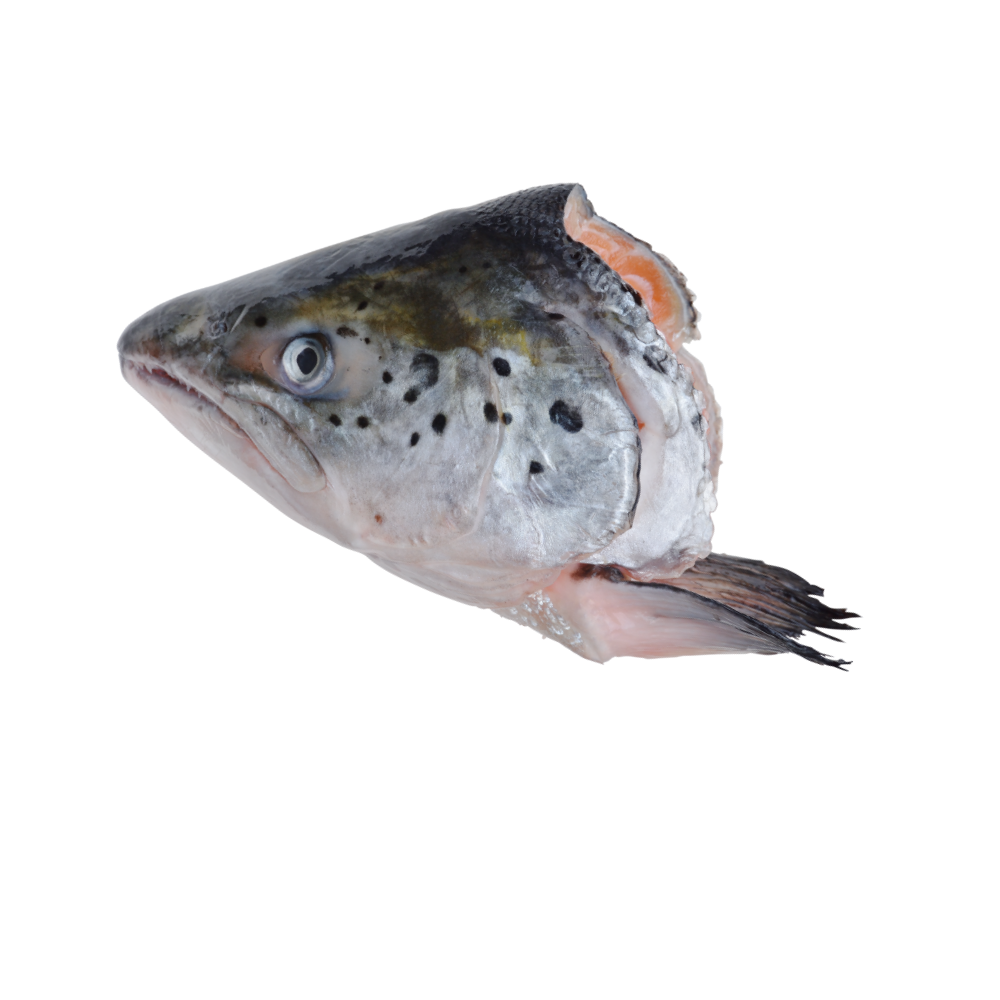 Raw Salmon Head (4pk)