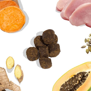 Raw For Pets