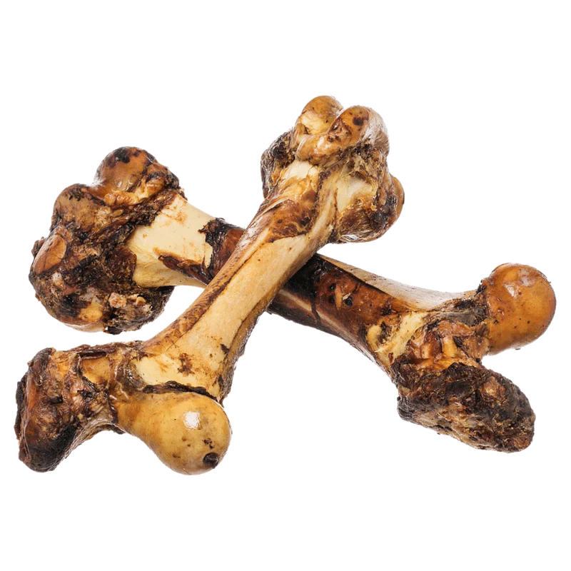 Dehydrated Beef Femur  (Dino Bone)